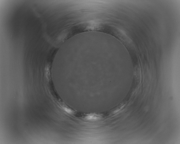X0000076030127200609221104