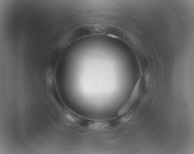 X0000076030129200609221103