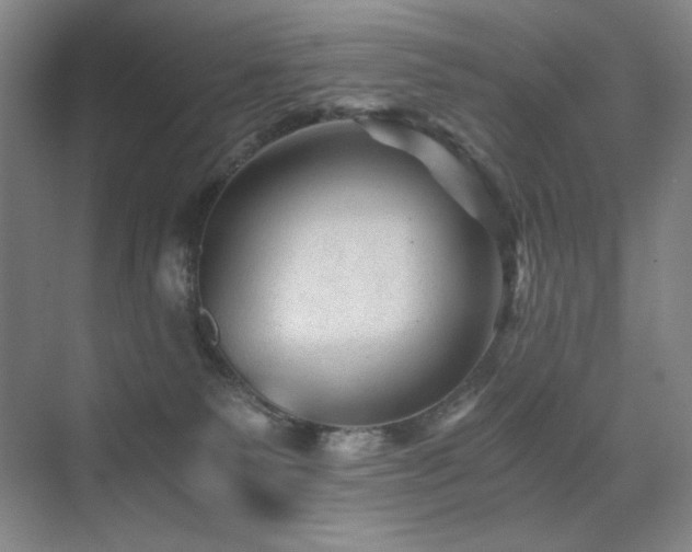 X0000076030135200609221103