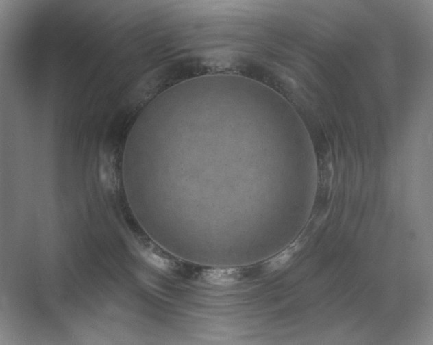 X0000076030136200609221103