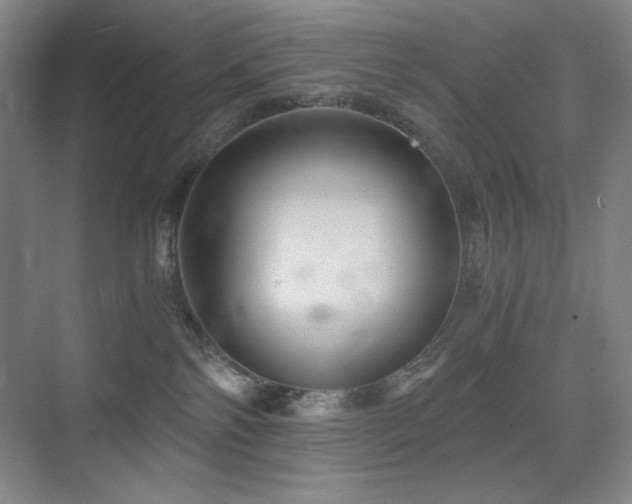 X0000076030138200609221103
