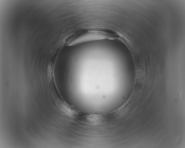 X0000076030142200609221103