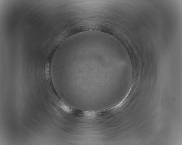X0000076030144200609221103