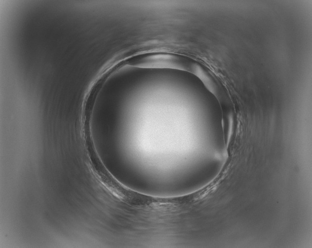 X0000076030150200609221103