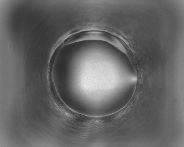 X0000076030152200609221103