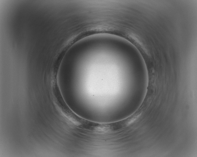 X0000076030164200609221103