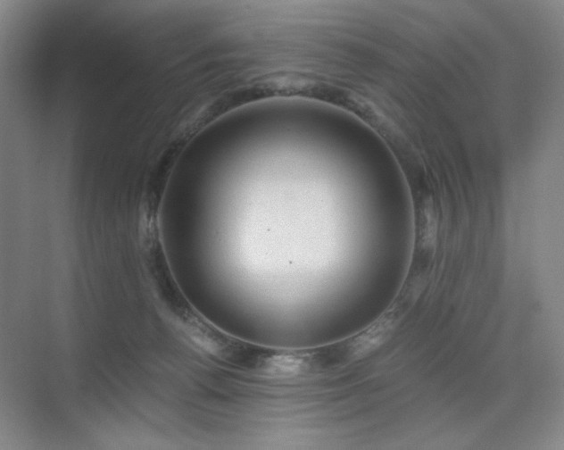 X0000076030176200609221103