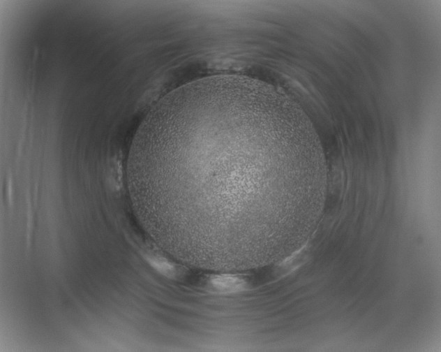 X0000076030183200609221103