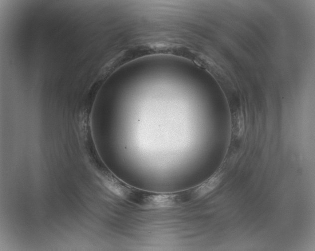 X0000076030184200609221103