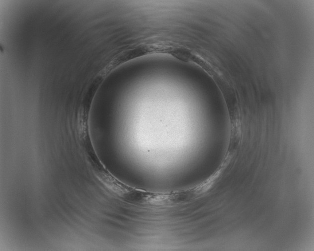 X0000076030186200609221103