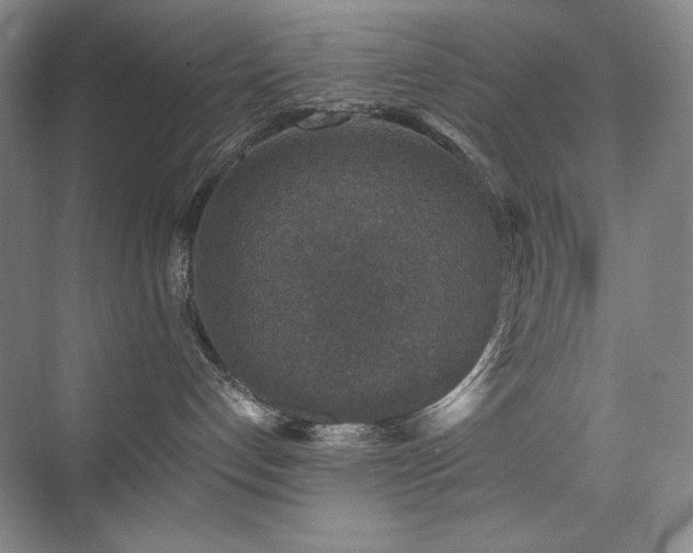 X0000076030192200609221103
