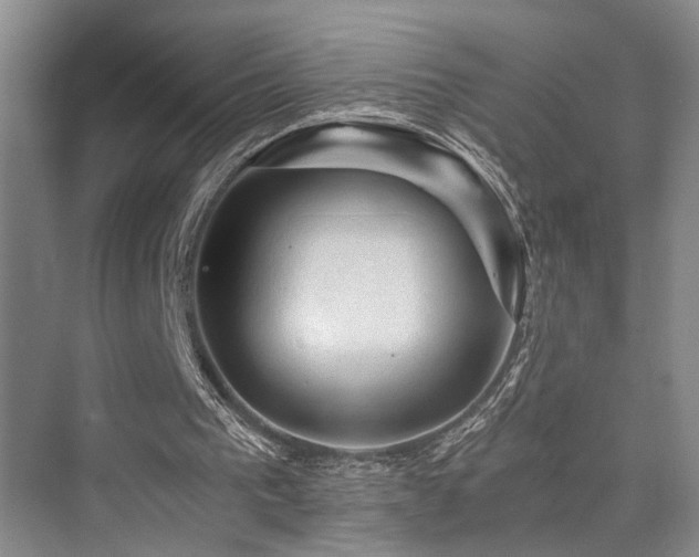 X0000076030193200609221102