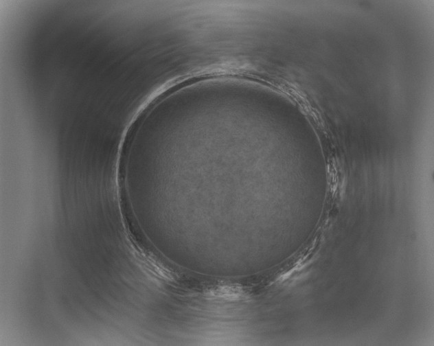X0000076030196200609221102