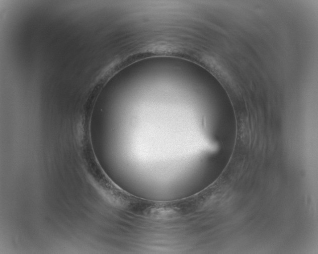 X0000076030208200609221102