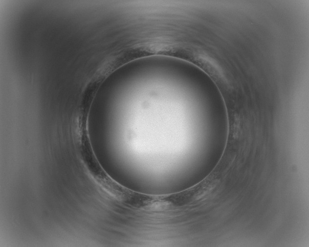 X0000076030210200609221102
