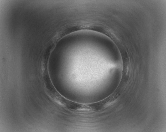 X0000076030215200609221102