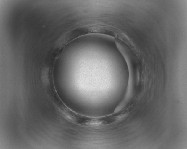 X0000076030217200609221102