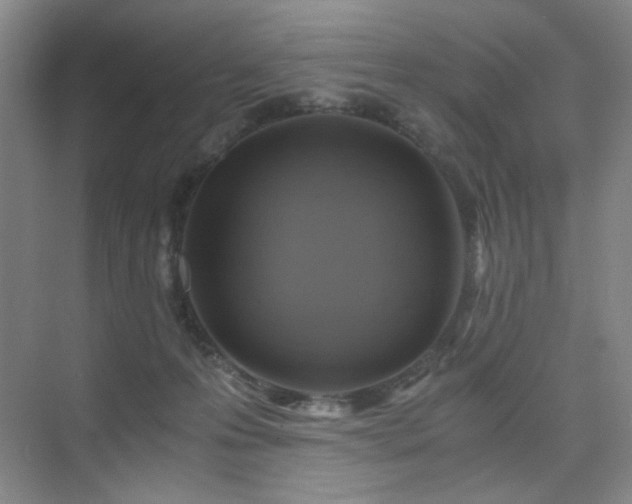 X0000076030223200609221102