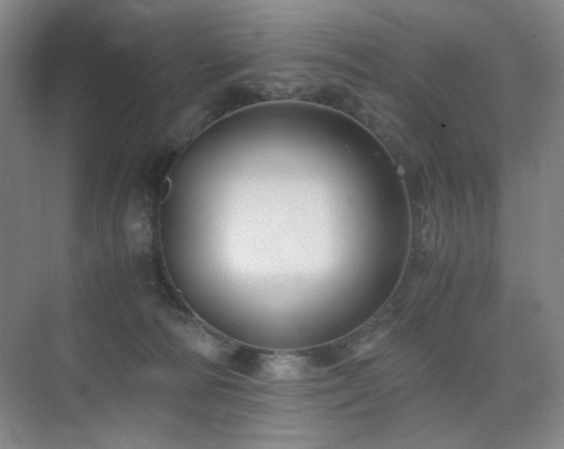 X0000076030226200609221102
