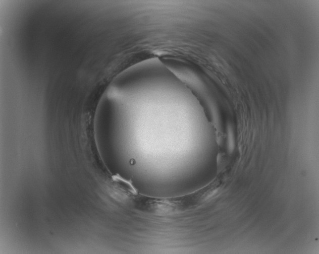 X0000076030229200609221102