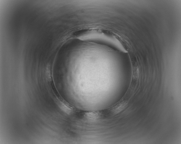 X0000076030238200609221102