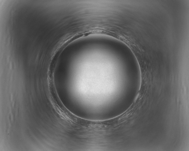 X0000076030242200609221101