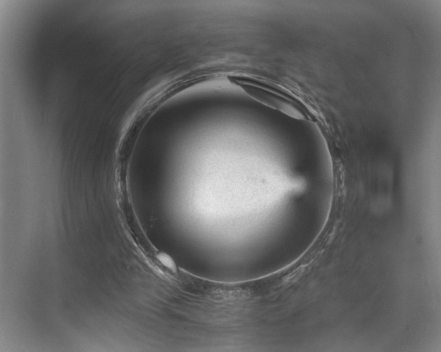 X0000076030245200609221101