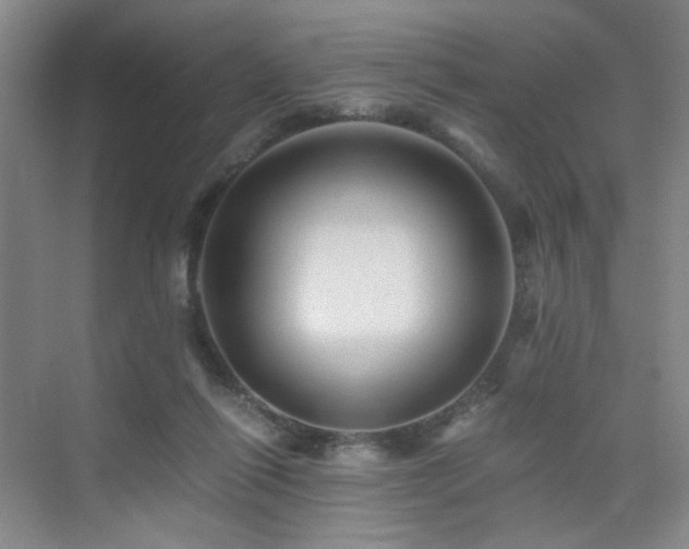 X0000076030262200609221101