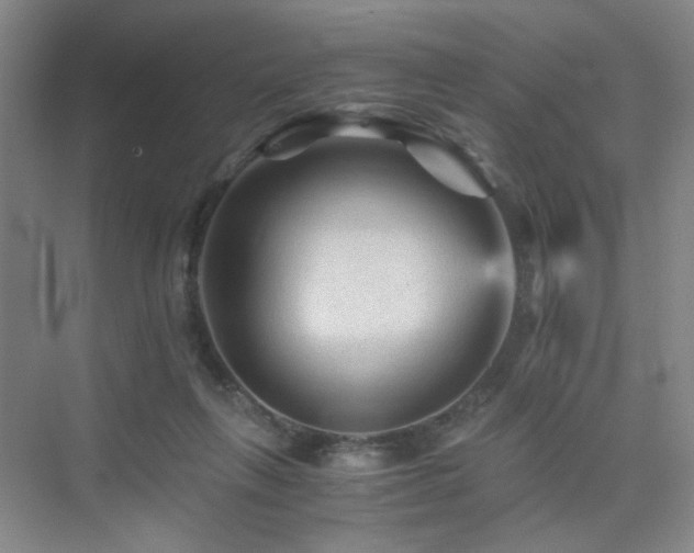 X0000076030263200609221101