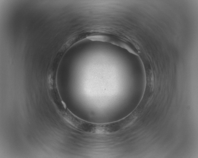 X0000076030264200609221101