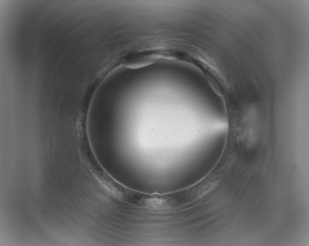 X0000076030265200609221101