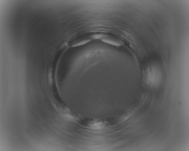 X0000076030267200609221101