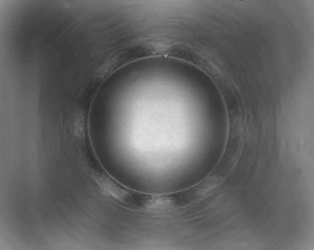 X0000076030274200609221101