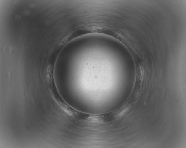 X0000076030280200609221101