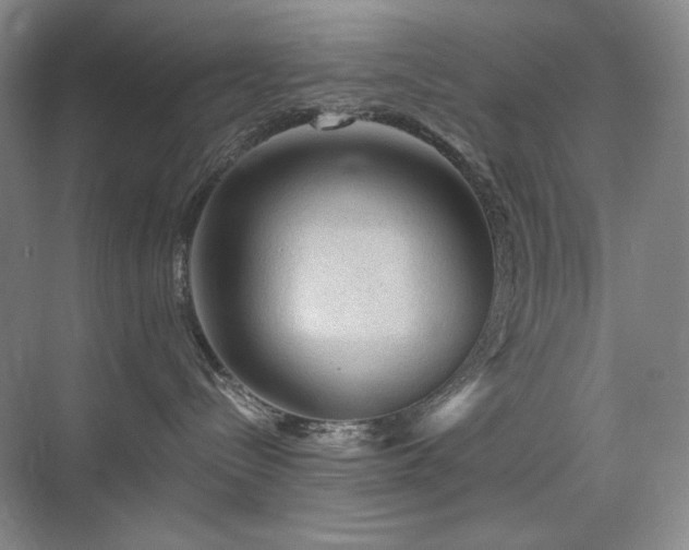 X0000076030288200609221102