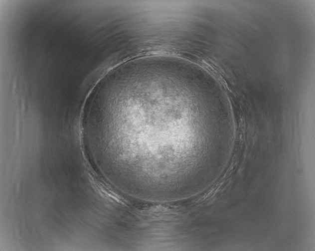 X0000076030290200609221101