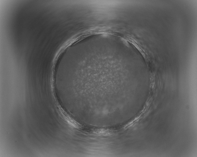 X0000076030293200609221101