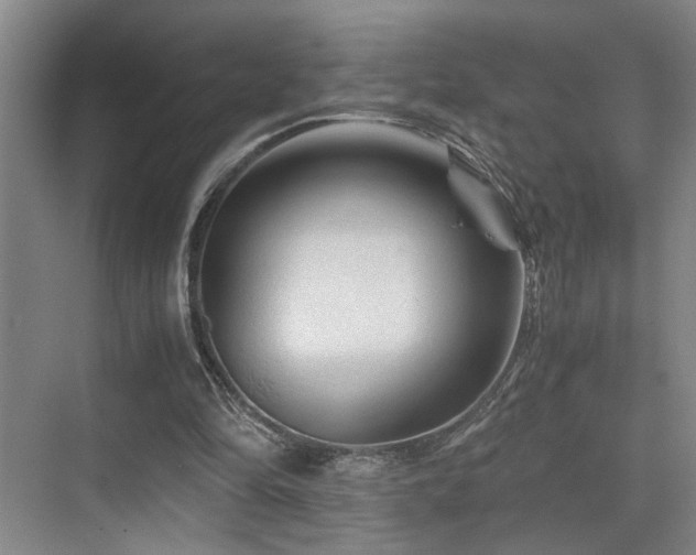 X0000076030294200609221101