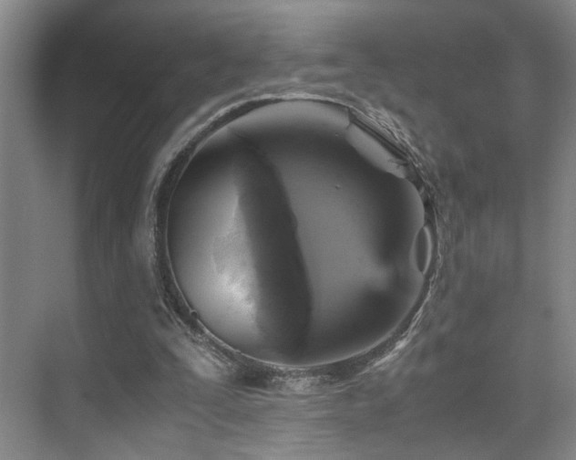 X0000076030295200609221101