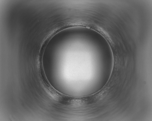 X0000076030298200609221101