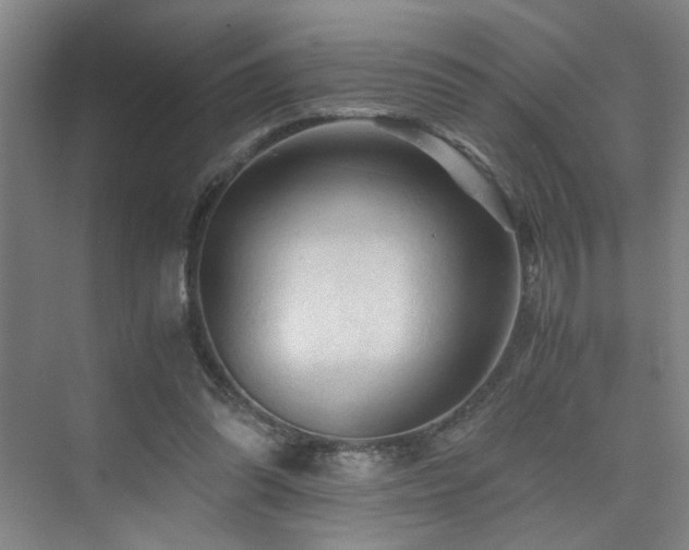 X0000076030302200609221101