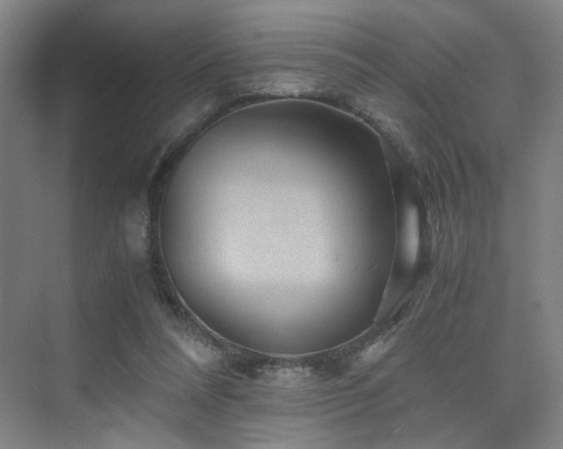 X0000076030304200609221101