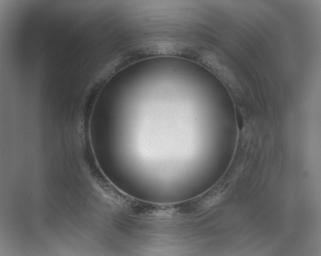 X0000076030306200609221100
