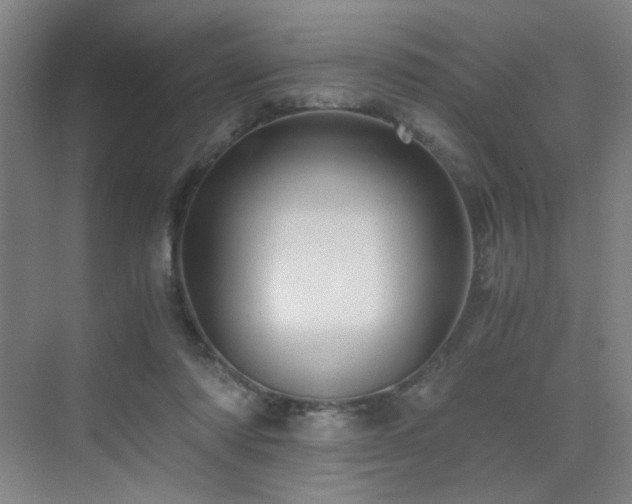 X0000076030310200609221100