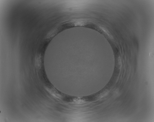 X0000076030311200609221100