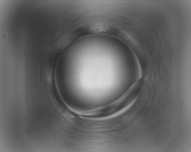 X0000076030315200609221100