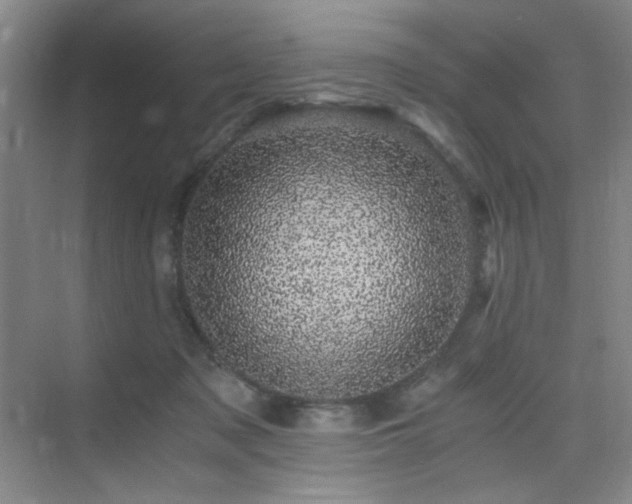 X0000076030317200609221100