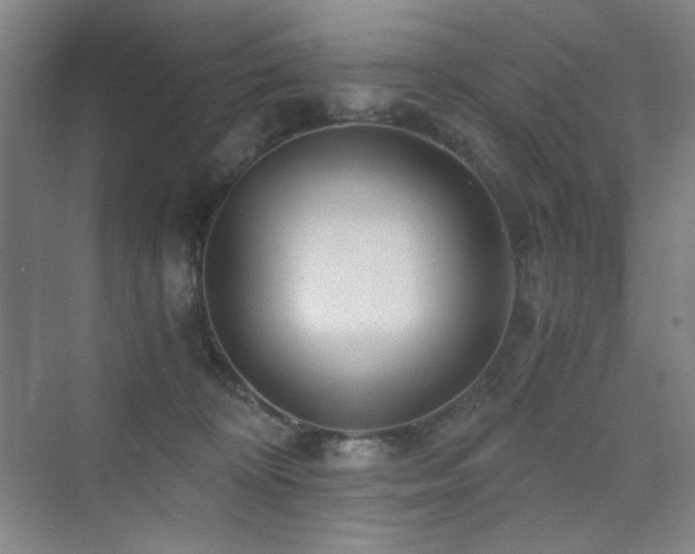 X0000076030324200609221100