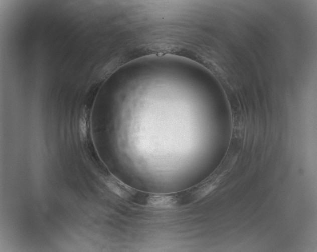 X0000076030334200609221100