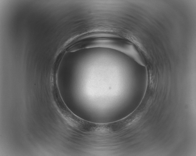 X0000076030348200609221059